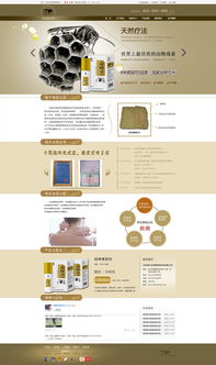 網(wǎng)頁設計指南 從初稿到專業(yè)作品的進階之路